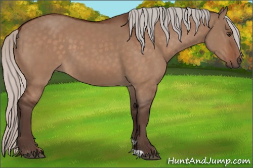 Horse Color:Silver Bay Dun 
