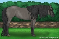 Horse Color:Grullo Rabicano 