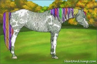 Horse Color:Painted White Spotted Chocolate Palomino Ice Pearl Appaloosa 