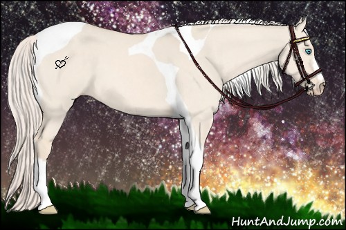 Horse Color:Cremello Dun Tobiano