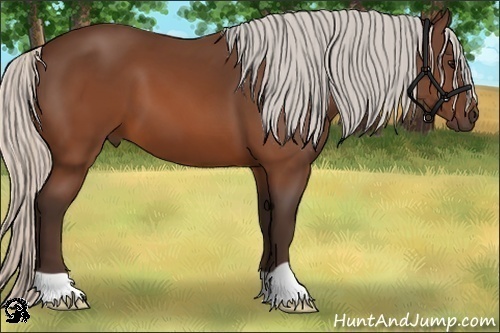 Horse Color:Silver Brown 