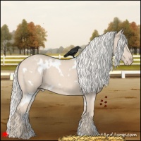 Horse Color:White Spotted Cremello Roan 