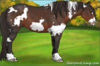 Horse Color:White Spotted Liver Chestnut Frame