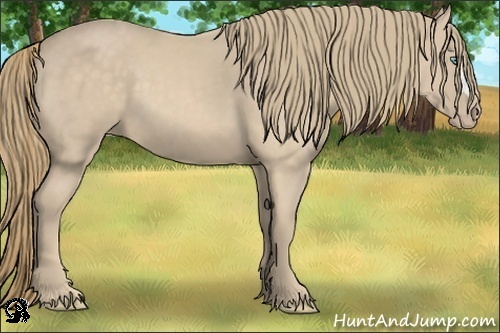 Horse Color:Perlino 