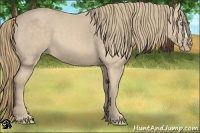 Horse Color:Perlino 