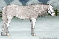 Horse Color:Silver Brown Ice Roan Splash Appaloosa 