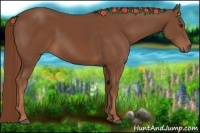 Horse Color:Chestnut Sabino