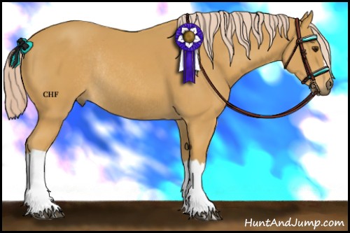 Horse Color:Palomino Rabicano