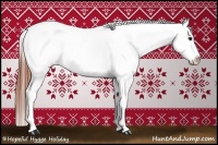 Horse Color:Brown Dun Appaloosa Rabicano 