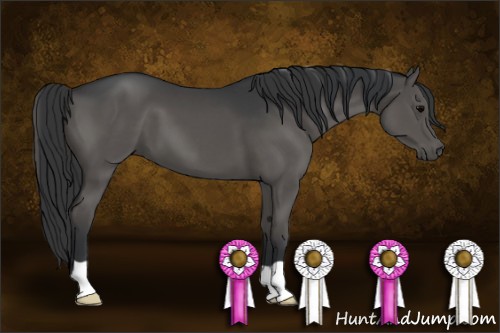 Horse Color:Grullo