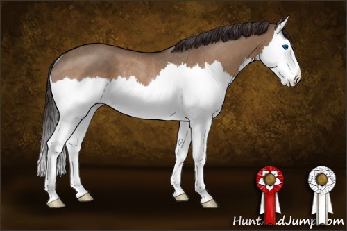 Horse Color:Brown Dun Sabino Splash Varnish Rabicano 