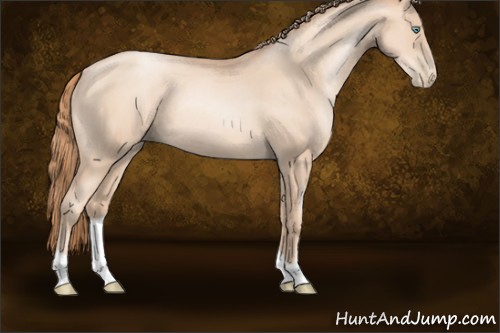 Horse Color:Gold Champagne Pearl 
