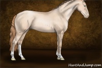 Horse Color:Gold Champagne Pearl 