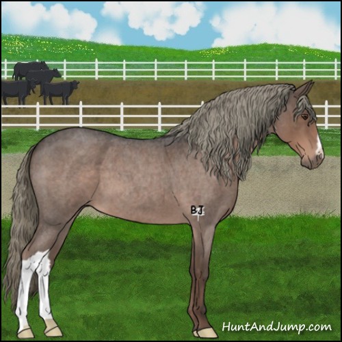Horse Color:Liver Red Roan Mushroom 