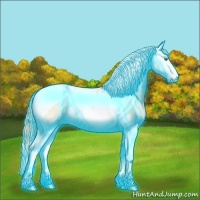 Horse Color:Thunderstruck Buckskin Ice Pearl Onyx Splash Tobiano 