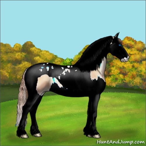 Horse Color:Red Onyx Pearl Splash Tobiano 