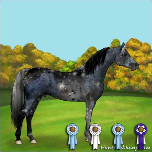 Horse Color:ERROR: UNKNOWN ANOMALY