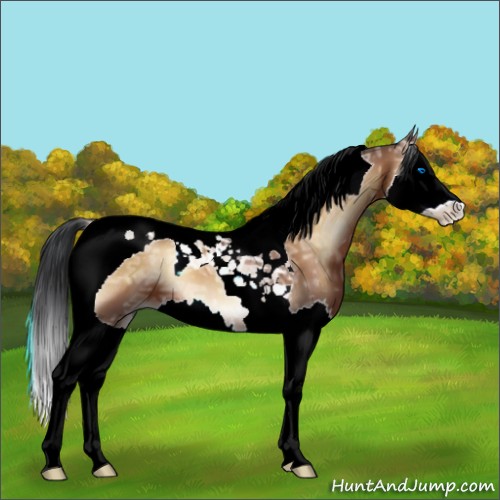 Horse Color:Bay Ice Onyx Splash Tobiano