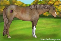 Horse Color:Chocolate Palomino Varnish 