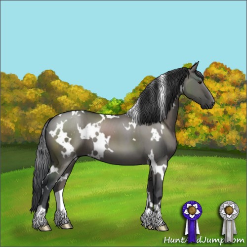 Horse Color:White Spotted Grullo