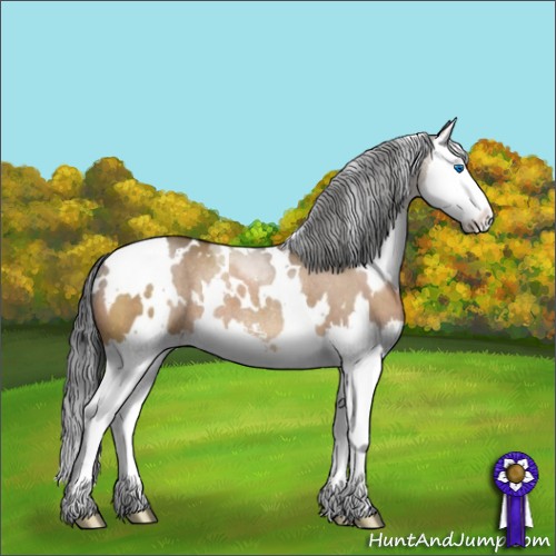 Horse Color:White Spotted Brown Dun Sabino Splash Rabicano 