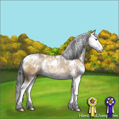 Horse Color:Brown Dun Sabino Splash Rabicano 