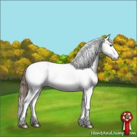 Horse Color:Grullo Pearl Sabino Splash Tobiano 