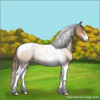 Horse Color:Brown Pearl Sabino Tobiano Rabicano 