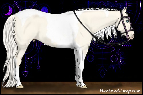 Horse Color:Cremello Dun Tobiano 