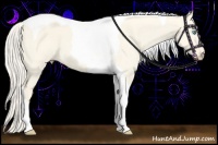 Horse Color:Cremello Dun Tobiano 