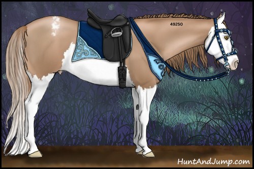 Horse Color:Liver Chestnut Pearl Splash Appaloosa 