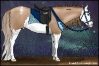 Horse Color:Liver Chestnut Pearl Splash Appaloosa 