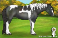 Horse Color:Liver Chestnut Sabino Tobiano 