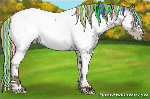Horse Color:Painted White Spotted Silver Classic Champagne Ice Roan Pearl Dun Splash Near Fewspot Rabicano 