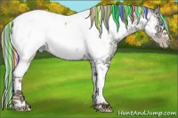 Horse Color:Painted White Spotted Silver Classic Champagne Ice Roan Pearl Dun Splash Near Fewspot Rabicano 