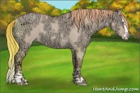 Horse Color:Gold Champagne Ice Roan Dun Splash 