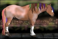 Horse Color:Painted Bay 