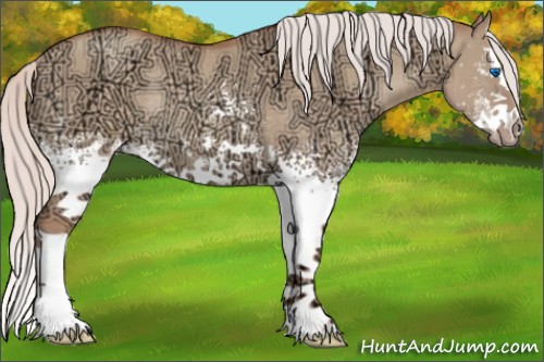 Horse Color:White Spotted Silver Classic Champagne Ice Dun Splash Rabicano 