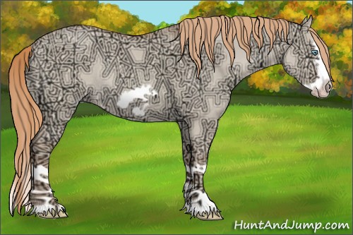 Horse Color:Gold Champagne Ice Roan Dun Splash Frame Rabicano