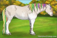 Horse Color:Painted White Spotted Gold Champagne Ice Dun Splash Rabicano 