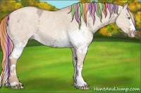 Horse Color:Painted White Spotted Gold Champagne Ice Dun Splash Rabicano 