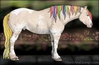 Horse Color:Painted White Spotted Gold Champagne Ice Dun Splash Tobiano Rabicano