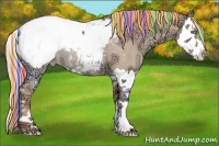 Horse Color:Painted Gold Champagne Ice Roan Dun Splash Snowcap 