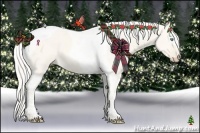 Horse Color:Cremello Dun Tobiano 