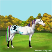 Horse Color:Painted Perlino Ice Dun Appaloosa 