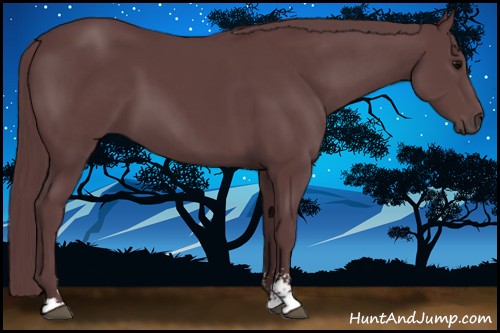 Horse Color:Chocolate Black Sabino