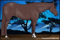 Horse Color:Chocolate Black Sabino 