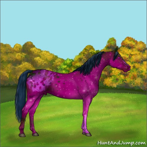 Horse Color:ERROR: UNKNOWN ANOMALY