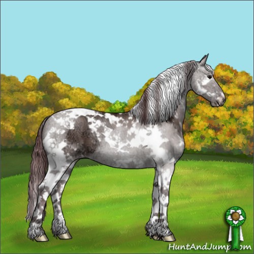 Horse Color:Chocolate Grullo Ice Splash Tobiano 