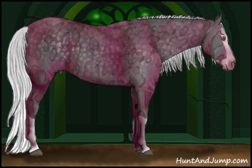 Horse Color:Silver Black Chinchilla Ice Splash